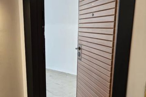 3 rooms Apartment in Chau Lang, Vietnam No. 20494 3