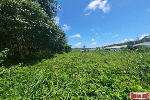 8884m² Land in Phuket, Thailand No. 96969 5