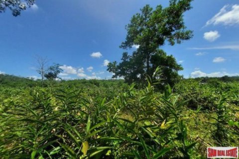 8884m² Land in Phuket, Thailand No. 96969 12