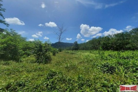 8884m² Land in Phuket, Thailand No. 96969 9
