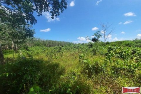 8884m² Land in Phuket, Thailand No. 96969 11