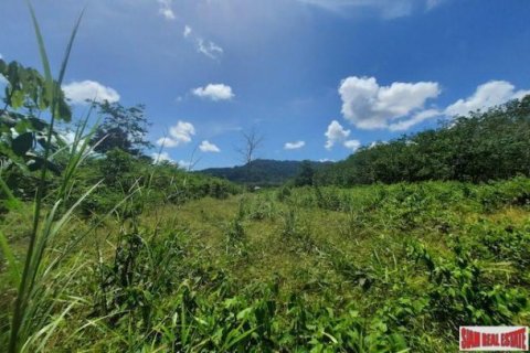8884m² Land in Phuket, Thailand No. 96969 8