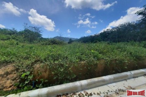 8884m² Land in Phuket, Thailand No. 96969 6