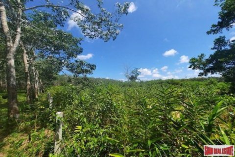 8884m² Land in Phuket, Thailand No. 96969 10