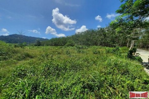 8884m² Land in Phuket, Thailand No. 96969 7