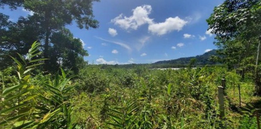 8884m² Land on the Phuket, Thailand No. 96969