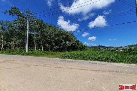 8884m² Land in Phuket, Thailand No. 96969 4
