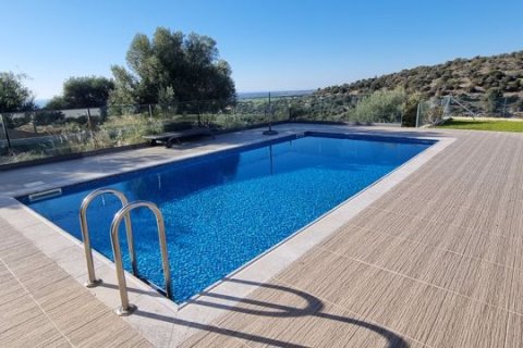 3 bedrooms Villa in Kouklia, Cyprus No. 83143 3