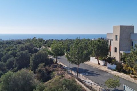 3 bedrooms Villa in Kouklia, Cyprus No. 83143 18