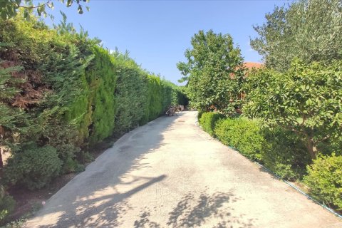 3 bedrooms House in Chalkidiki, Greece No. 56470 6