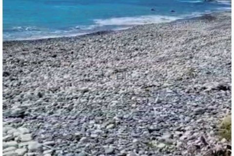 4 chambres Villa à Zygi, Cyprus No. 80753 7