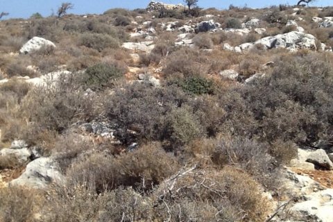 10884m² Land in Vamos, Greece No. 55343 6