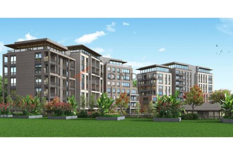 2 bedrooms Apartment in Bach Long Vi, Vietnam No. 16865 19