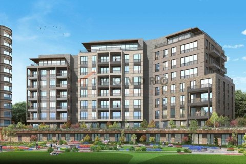 2 bedrooms Apartment in Bach Long Vi, Vietnam No. 16865 6