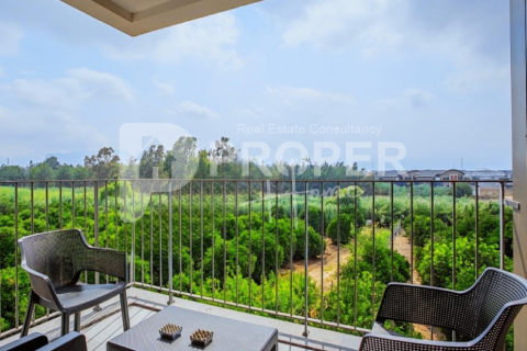 4 rooms Apartment in Thanh Khe, Vietnam No. 12784 16