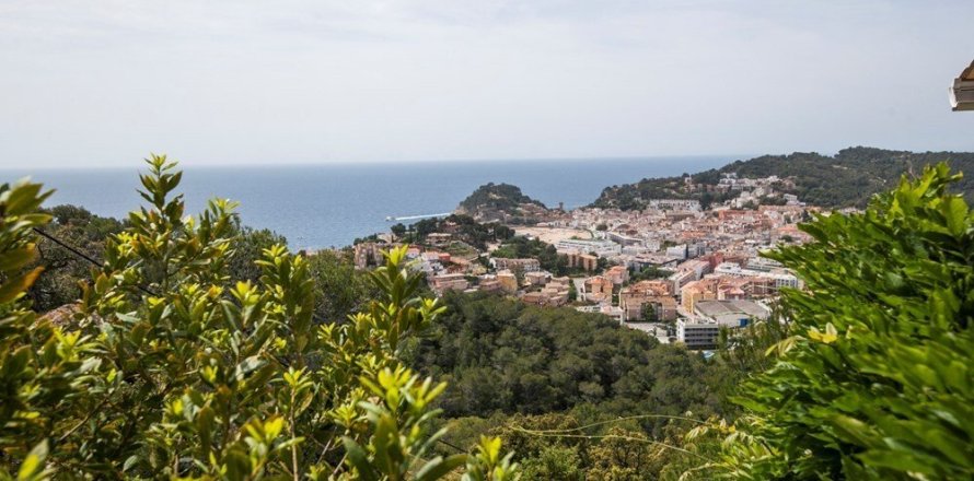 4 chambres  à Trieu Hai, Vietnam No. 25246