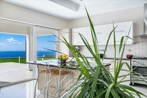 4 dormitorios Villa en Pegeia, Cyprus No. 65315 10