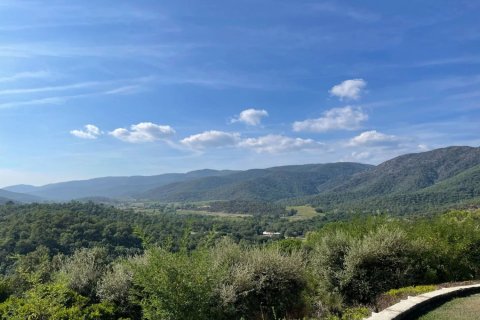 Дом с 13 спальнями в Моле, Франция №68194 7