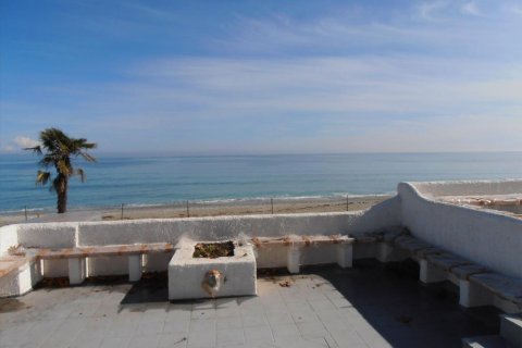 11000m² Affaires à Dion, Greece No. 60538 1