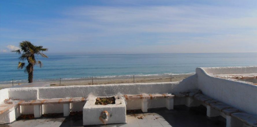 11000m² Affaires à Dion, Greece No. 60538