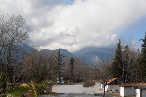 11000m² Affaires à Dion, Greece No. 60538 6