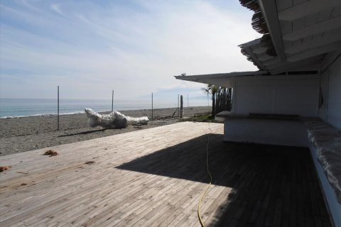 11000m² Affaires à Dion, Greece No. 60538 4