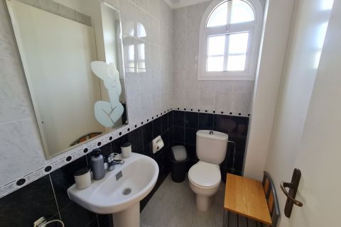 3 bedrooms Villa in Paphos, Cyprus No. 36705 16