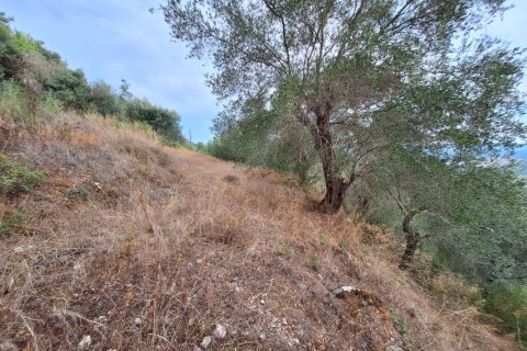 13000m² Land in Corfu, Greece No. 109310 5