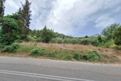 13000m² Land in Corfu, Greece No. 109310 9