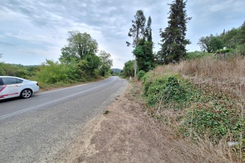 13000m² Land in Corfu, Greece No. 109310 7