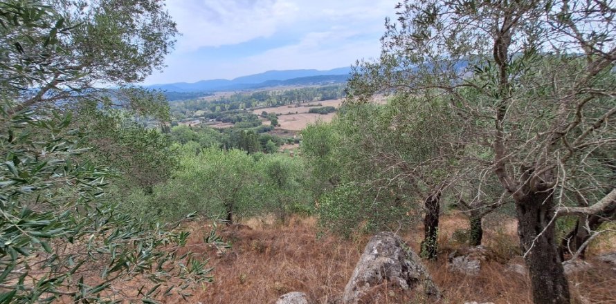 13000m² Land in Corfu, Greece No. 109310