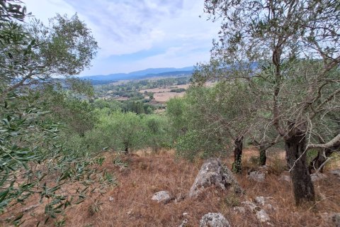 13000m² Land à Corfu, Greece No. 109310