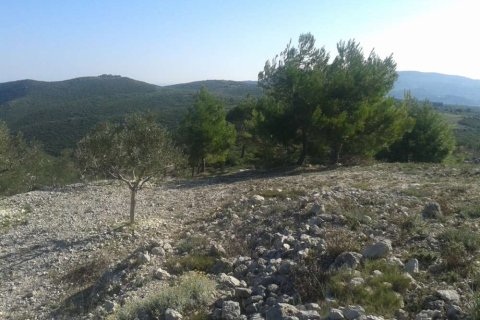 Land in Zakynthos, Greece No. 24743 11