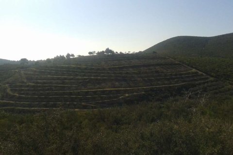 Land in Zakynthos, Greece No. 24743 7