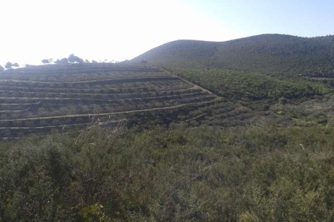 Land in Zakynthos, Greece No. 24743 10