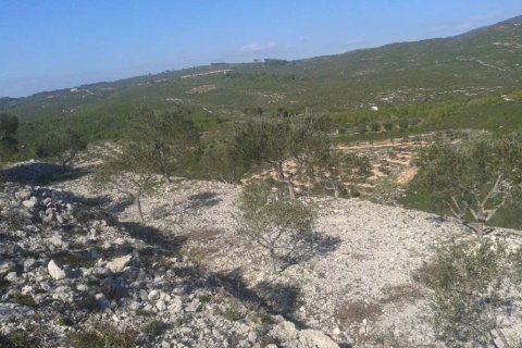 Land in Zakynthos, Greece No. 24743 8