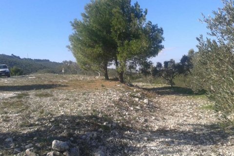 Land in Zakynthos, Greece No. 24743 2