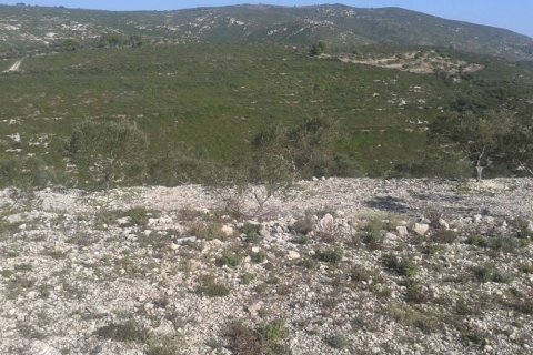 Land in Zakynthos, Greece No. 24743 4