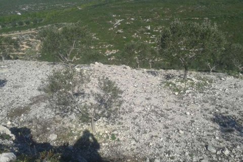 Land in Zakynthos, Greece No. 24743 6