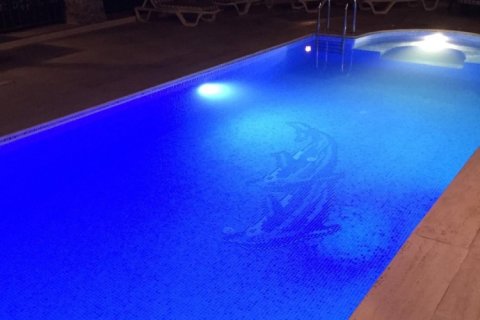 4 bedrooms Villa in Cai Rang, Vietnam No. 14181 12