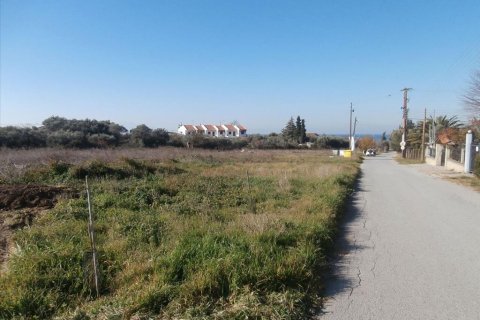 2407m² Land in Chalkidiki, Greece No. 109624 1
