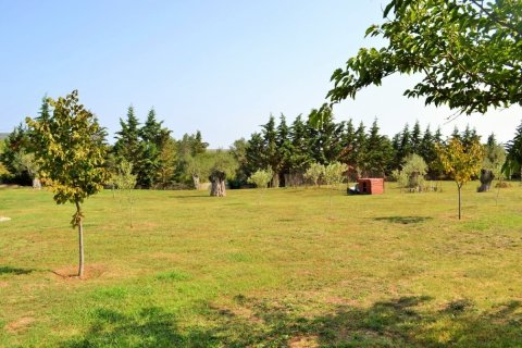 6 chambres Villa à Chalkidiki, Greece No. 50067 3