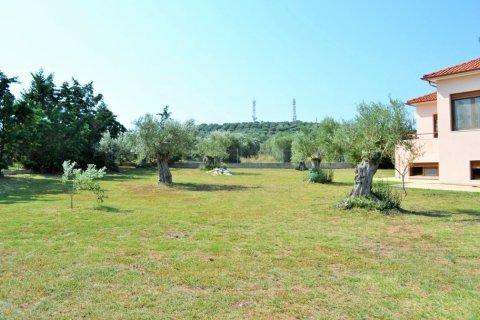 6 chambres Villa à Chalkidiki, Greece No. 50067 7