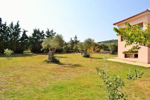 6 chambres Villa à Chalkidiki, Greece No. 50067 4