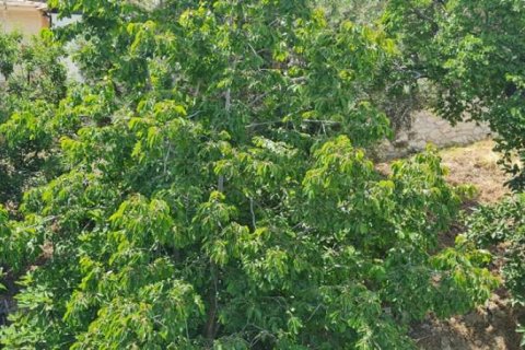 3 bedrooms Apartment in Zakynthos, Greece No. 24618 18