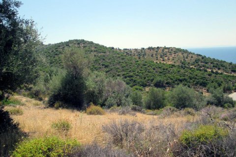 12912m² Land in Thasos, Greece No. 60233 6