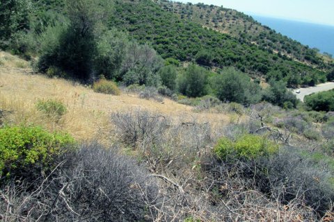 12912m² Land in Thasos, Greece No. 60233 7