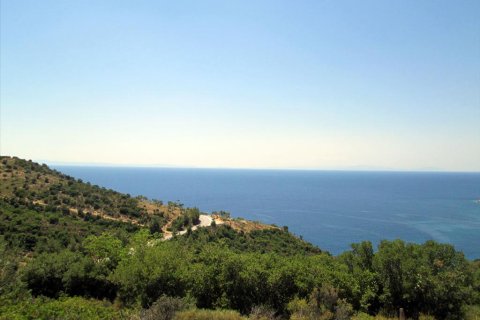 12912m² Land in Thasos, Greece No. 60233 2