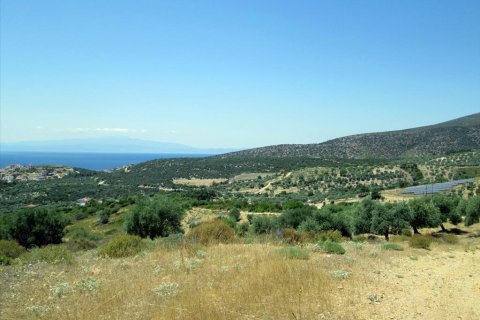 12912m² Land in Thasos, Greece No. 60233 9