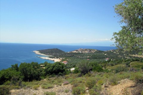 12912m² Land in Thasos, Greece No. 60233 1